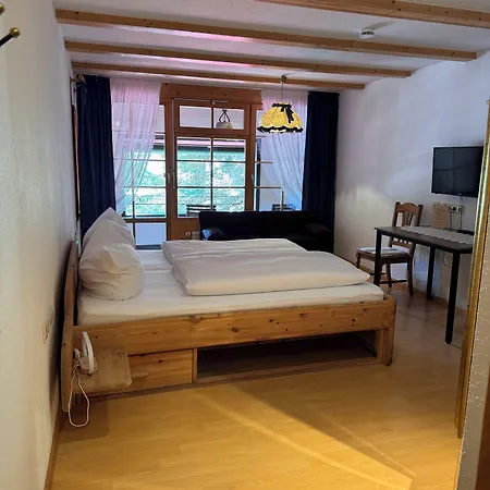 Hotel Hotel-restaurant Maien